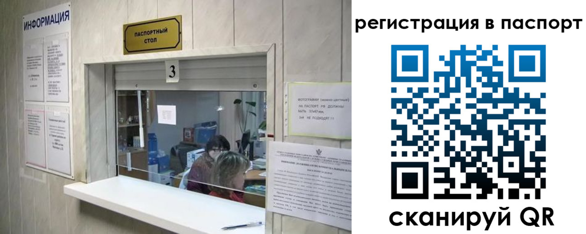 прописка поиск в Рославле